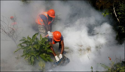 Zyka virus States and Brazil,