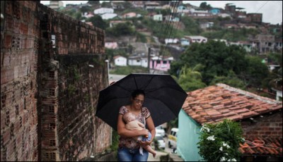 Zyka infected pregnant