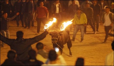  festival in Ecuador