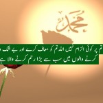 Hazrat Muhammad (SAW)