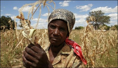  food shortages in Zimbabwe