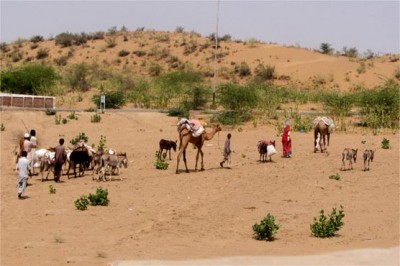 Tharparkar: continued