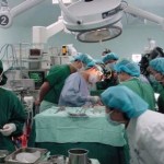 Human Organs Transplantation