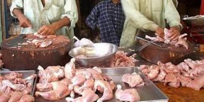  chicken meat was