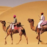 Cholistan Desert