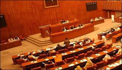 8.5 million Pakistanis