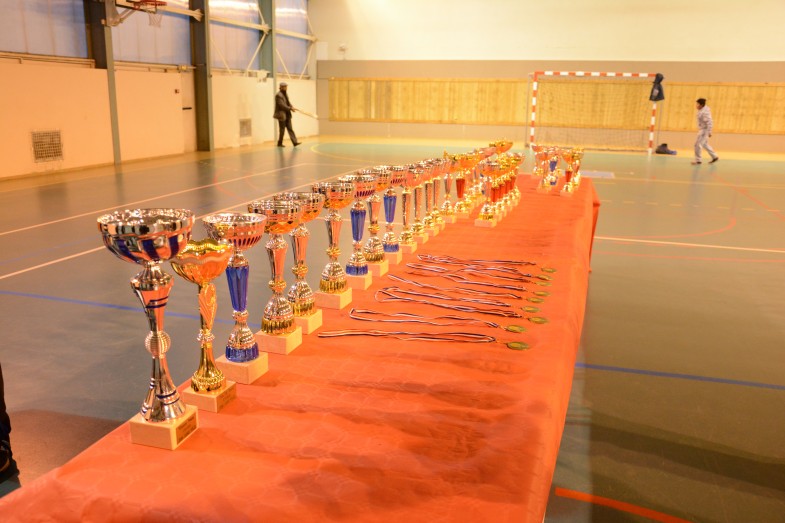 Paris Villers-La-Bell Cricket Tournament (4)