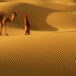 Thar-Desert