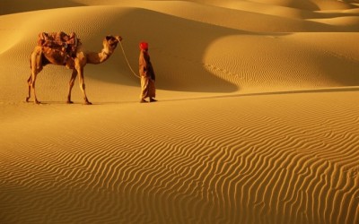 Thar-Desert