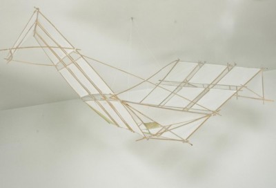 Bamboo kites