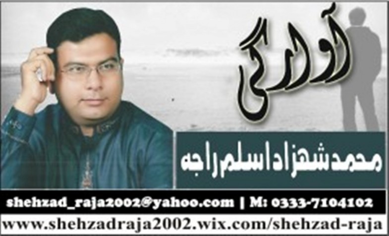 Shahzad Aslam Raja Logo