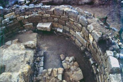 Aristotle discovered