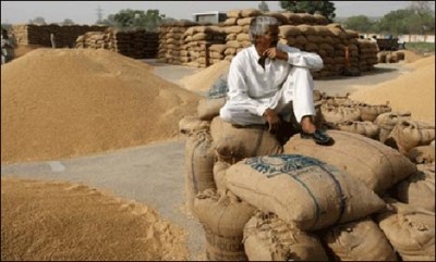 Assistant Commissioner