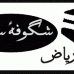 Ibn-e-Riaz logo