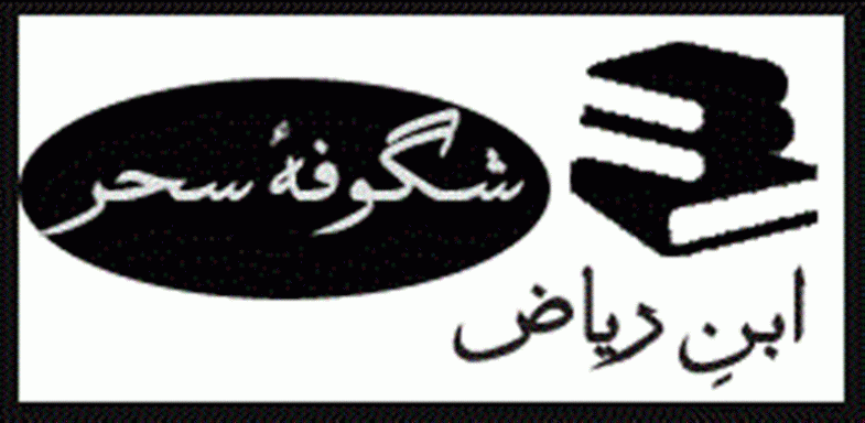 Ibn-e-Riaz logo