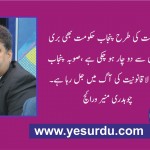 Ch Muneer Waraich