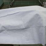 Dead Body