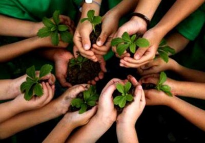 Environmental Protection