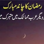 Ramzan Moon
