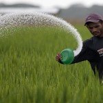 Farmers