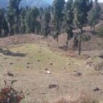Unhar