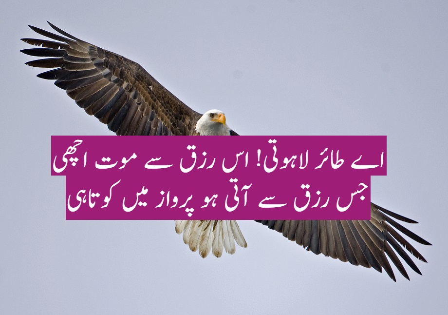 خودی اور غیرت
