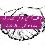 Friendship