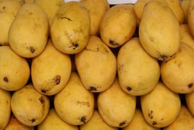 Mango in Pakistan