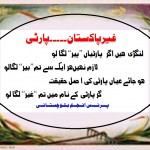 Prince Anjum Balochistani