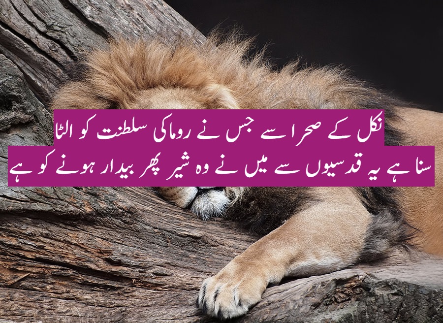 کشمیری بہن آسیہ اندرابی کی پکار