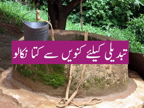 تبدیلی کیلئے کنویں سے کتا نکالو