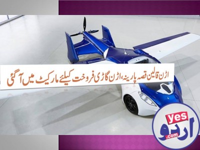 Now you can purchase flying car, New Mobal flying car