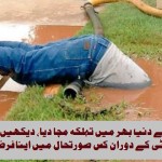 Picture-Gone-Viral-on-Internet-See-What-The-Man-Doing