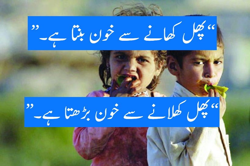 ہیومنز آف نیویارک اور 100 لفظوں کی کہانی