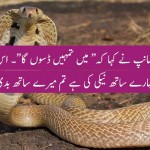 Snake