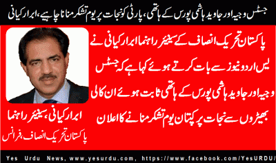 abrar-kayani-Senior-Leader-PTI-France