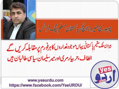 Ch Munir Warraich, Pakistan Muslim League Quaid e Azam, France