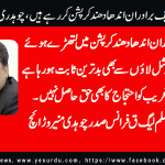 ch-muneer-warriach-President-PML-Q-France