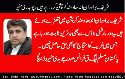 ch-muneer-warriach-President-PML-Q-France