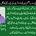 ch-naeem-Gen-Sec-PML-N-Azad-Kashmir