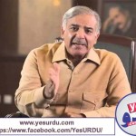 Dharna participants have no aim about betterment of country says SHAHBAZ SHARIEF