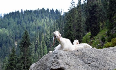 Fairy Land of Sawat vally, Bashigram lake 3