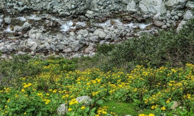Fairy Land of Sawat vally, Bashigram lake7