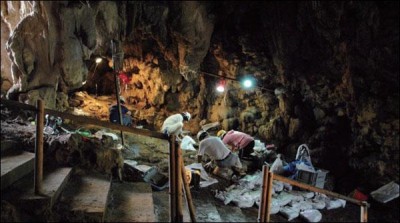 Japan, 23 year old Fish Catcher scales discovered 