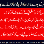 The cost of the entire Sharief Family’s Raiwind Palace at Jati Umra runs by the Government funds, Javed sadhwal