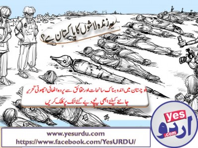 land-of-living-dead-bodies