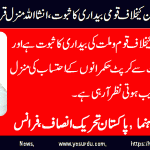 malik-saeed-Senior-Leader-PTI-France