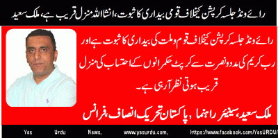 malik-saeed-Senior-Leader-PTI-France