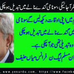 mian-hanif-Chief-Executive-PML-N-France