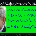 mian-hanif-Chief-Executive-PML-N-France